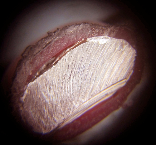 287c74c.jpg
