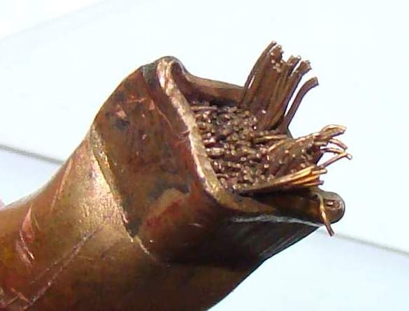 7199b5f.jpg