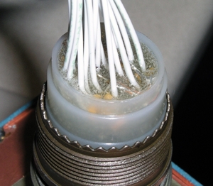 89fd300.jpg