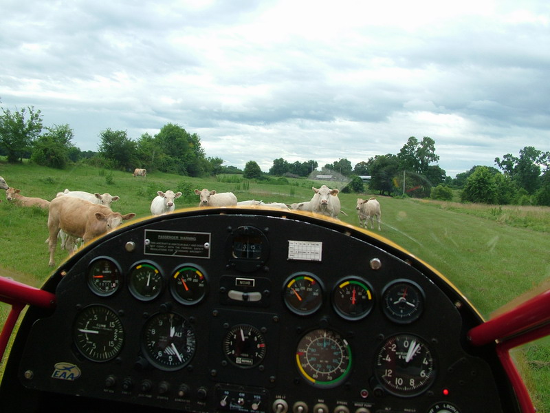 DSCF0517.JPG