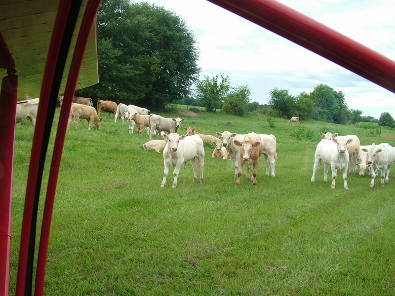 DSCF0518.JPG