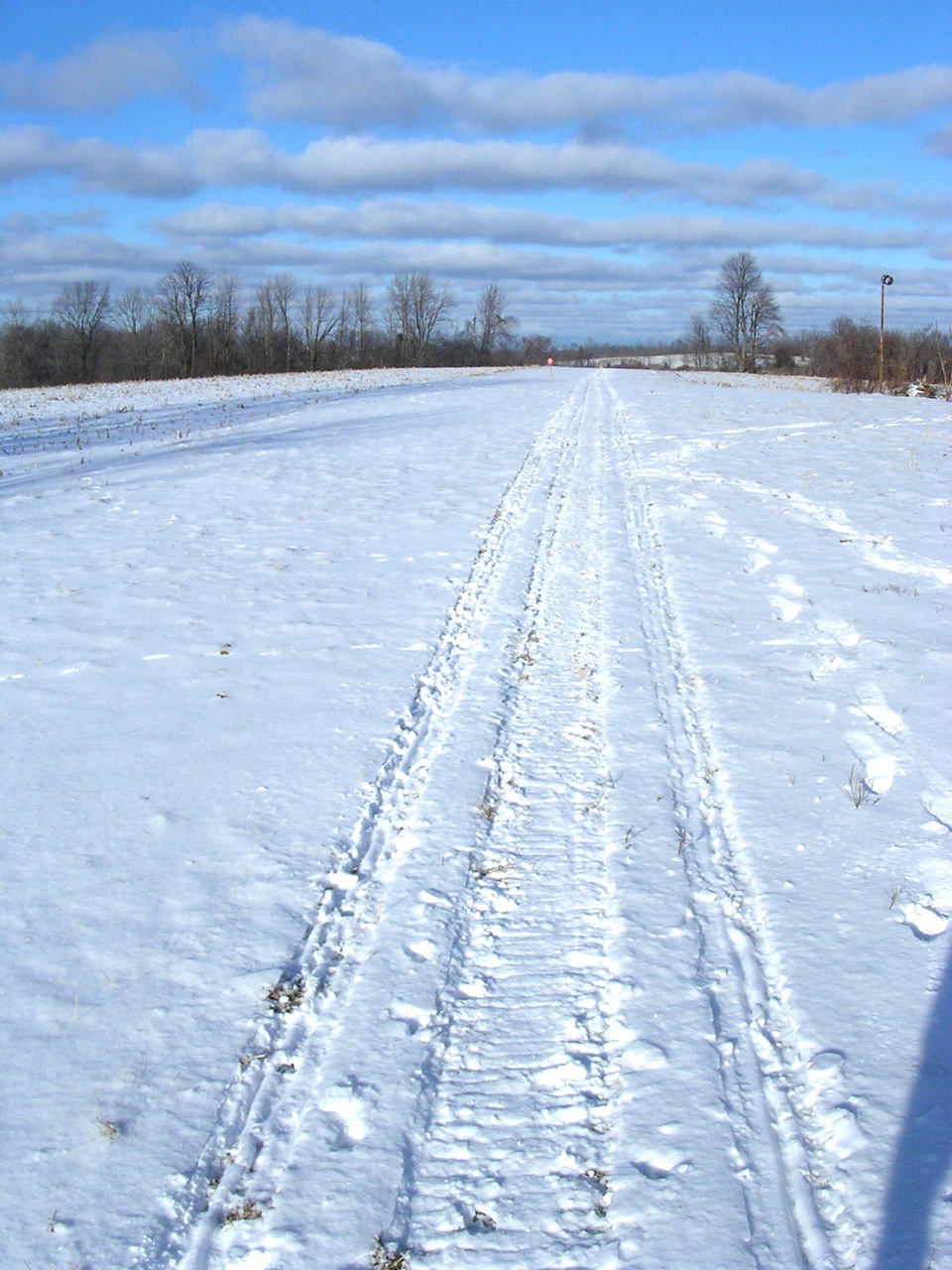 DSCN2171.jpg