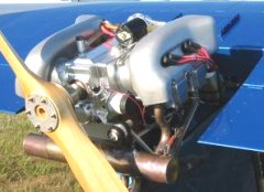 Jabiru.jpg