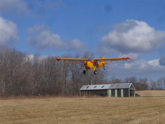 Kitfox_reborn_(1).jpg