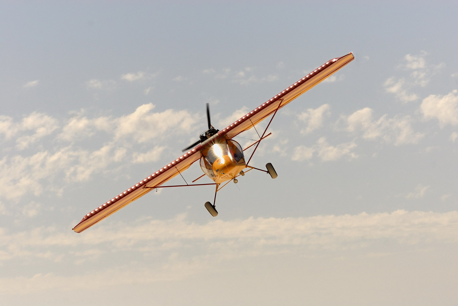 Miss_P'fer_Alvord_Desert.jpg