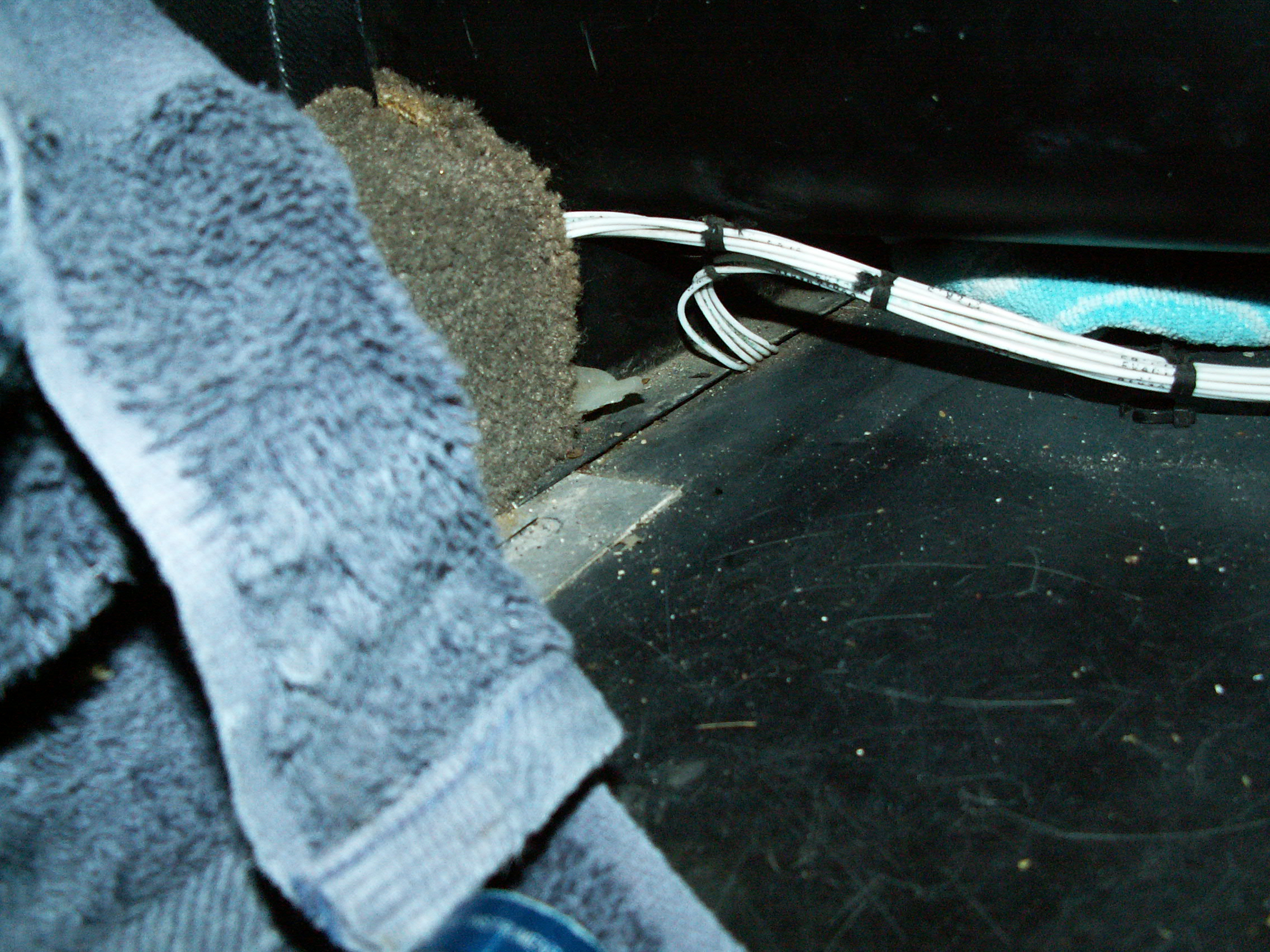 PICT0733.JPG