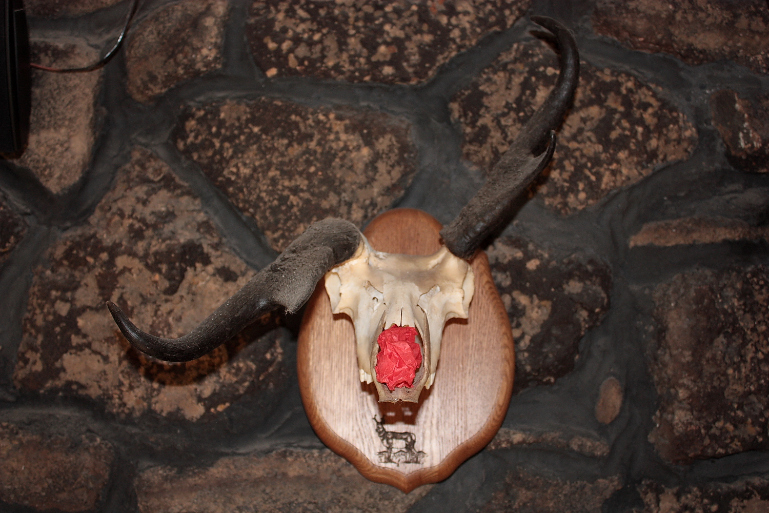 Rudolph.JPG