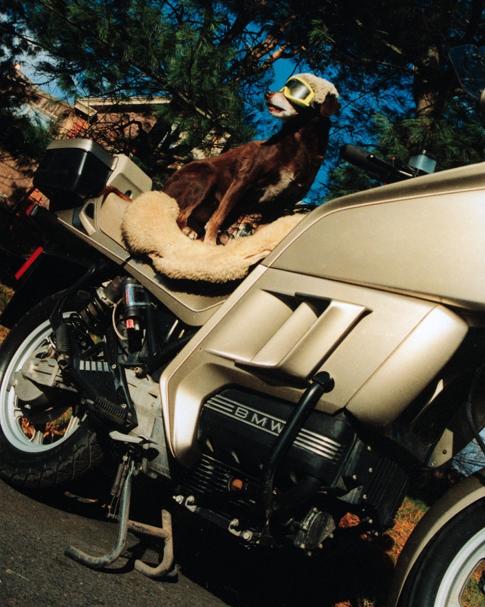 Toots_on_Beemer_jpeg_8.5_X_11.jpg