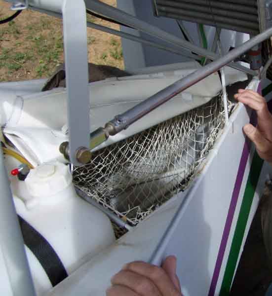 cargo_net.jpg
