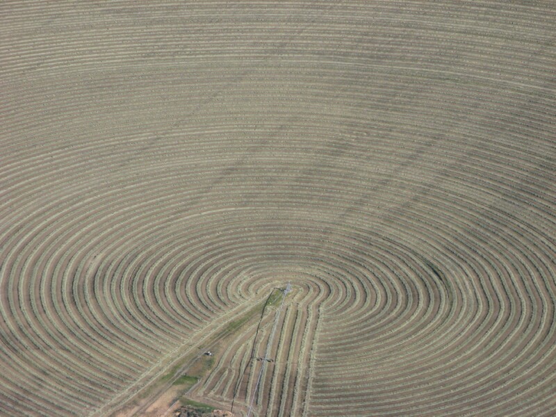 Crop Circle.jpg