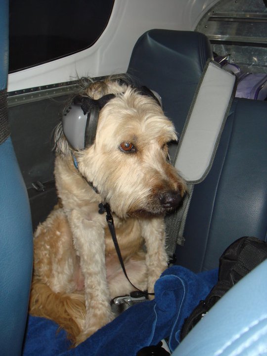 image001.jpg