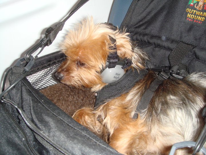 image004.jpg