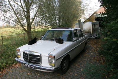 mercedes.jpg