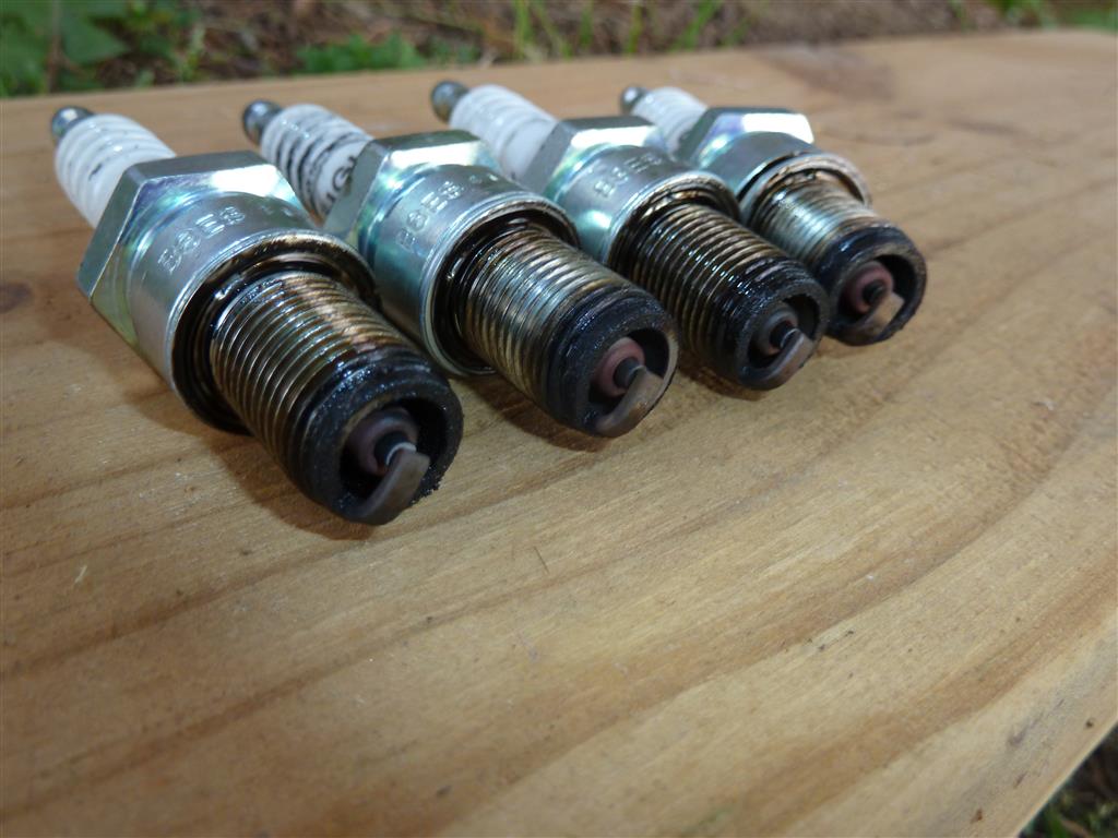 P1040455 (Medium).JPG