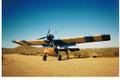 scaled_d77b_120x80_450624-Phantom_Bush.jpg