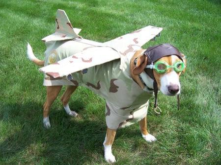 Tail Dragger.jpg