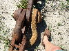 0001_11.JPG