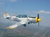 08A_photo_shoot.4_(Small).JPG