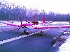 1254405876_l.jpg