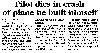 Article.jpg