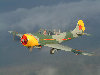 DSCF0010.jpg