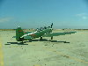 DSCF2653.JPG