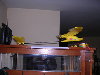 DSCN0978.jpg