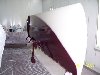 Europa_wing_underside.jpg