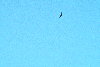 IM003331.JPG