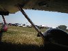 IMG_0431_(Small).JPG