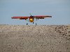 IMG_0917.JPG