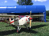 IMG_1237.jpg