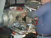 P1010041small.jpg