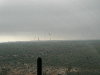P5200079a.jpg