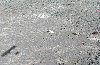 PB150180res.JPG