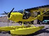 Side_view_of_door_opening_against_wing.JPG