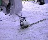 Untitled.jpg
