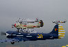 Yaks-2.jpg