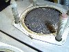 DSC01960.jpg