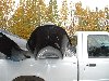 DSCF0002.jpg