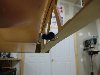 DSCF1585 (Medium).JPG