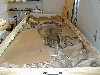 DSCN1255.JPG