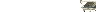 flylogo1.gif