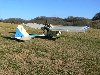 P1020626 (Large).JPG