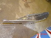 Pictures from CD 020.jpg