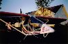 Tim's Firestar II- 02.jpg