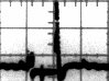 transient.jpg