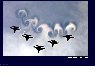 Vortex.JPG