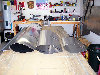 wing 002.jpg
